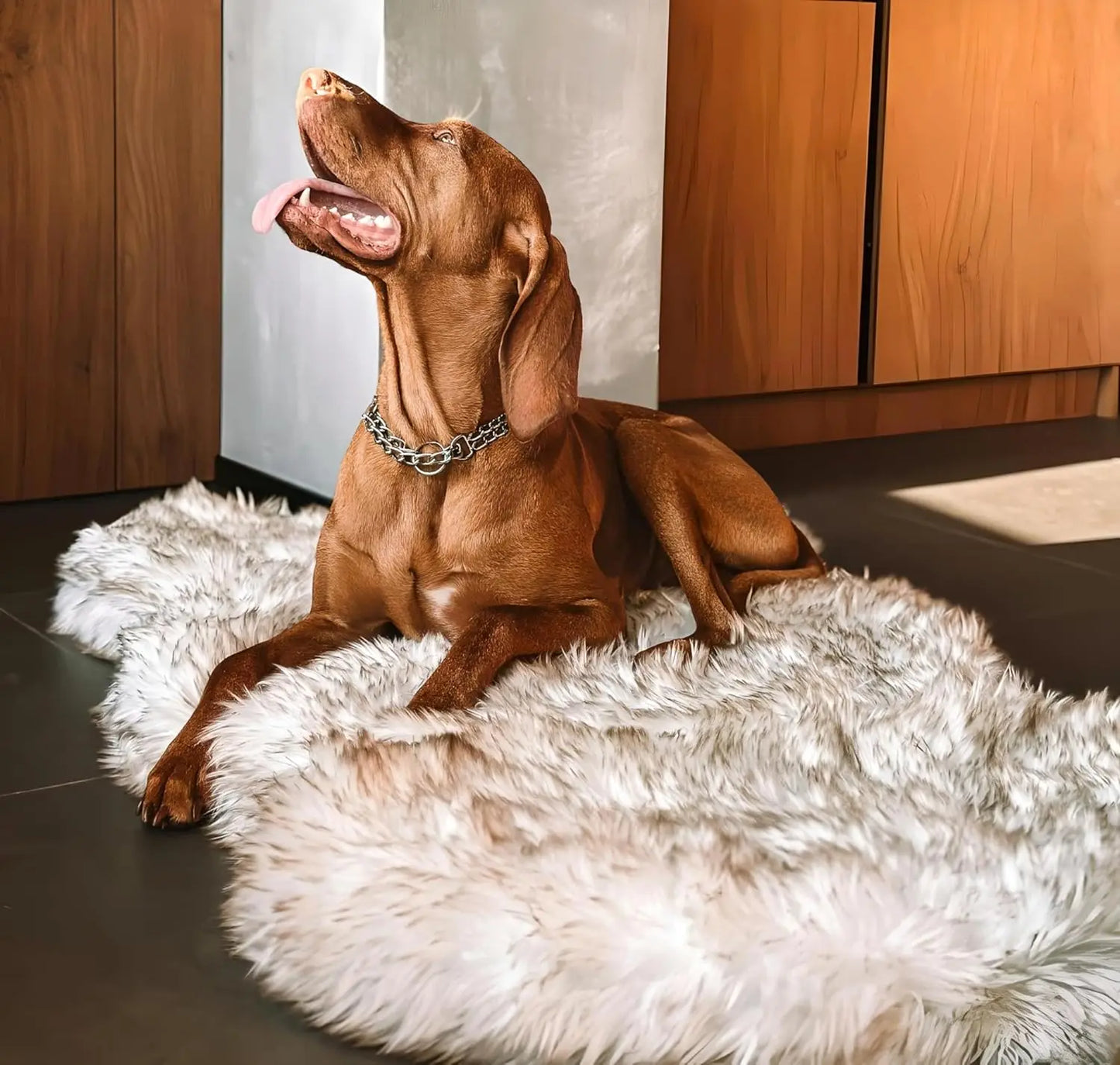 Luxury Faux Fur Orthopedic Dog Bed